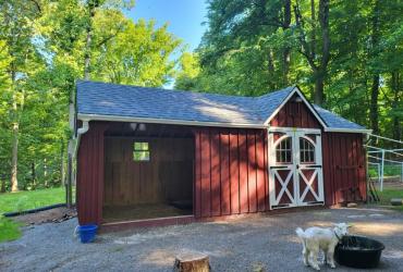 custom board and batten goat shed with run in 