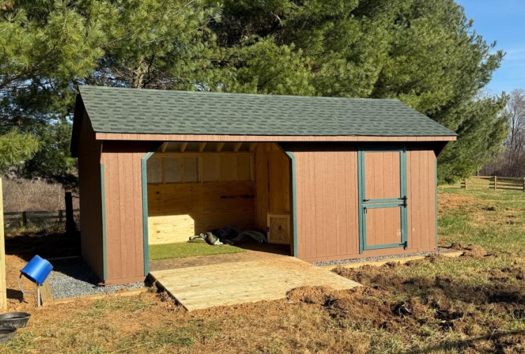 goat shed with run in  10x20 10x12 run and 10x8 shed