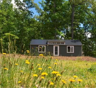 Office Shed in backyard