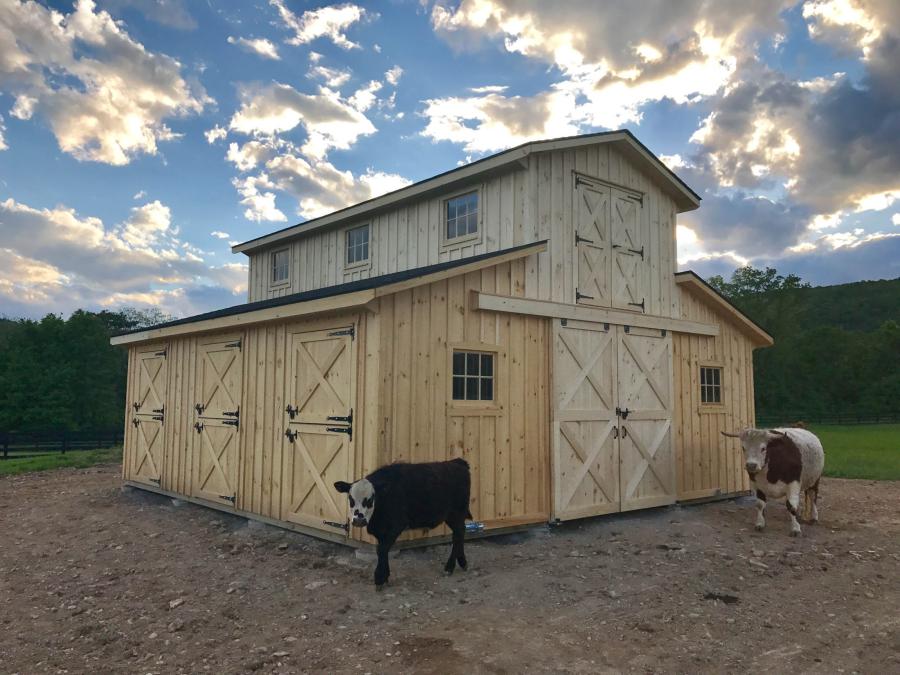 LARGE BARN-TWO STORY HORSE BARN-Monitor barns-2