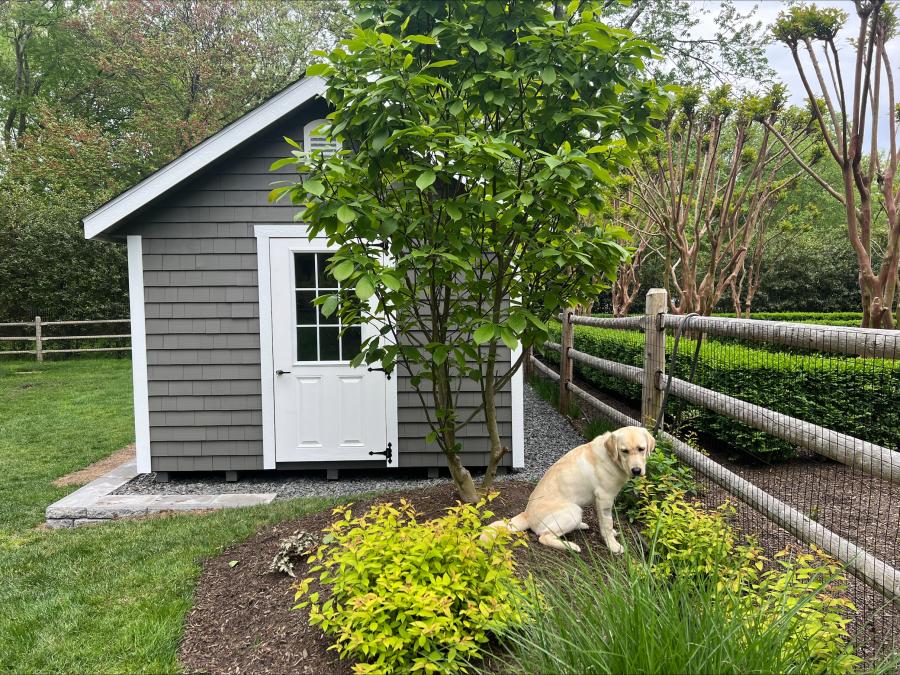 Custom cedar shake shed